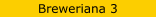 Breweriana 3